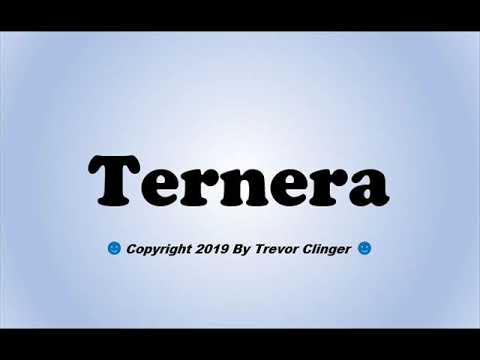 How To Pronounce Ternera (Spanish For Turkey)