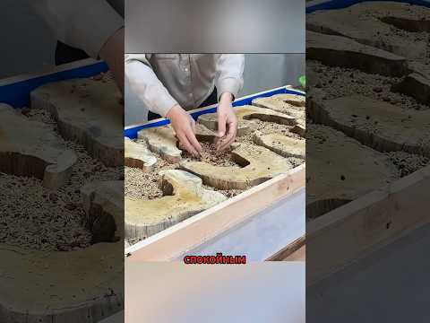 Тайный талант простого мастера #shorts