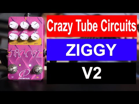 Crazy Tube Circuits  Ziggy v2 Overdrive/Distortion Purple in the Original Box image 4
