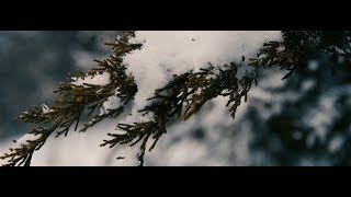 Cinematic Snow B-Roll  Sony A7SII