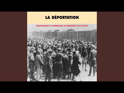 Edith Davidovici full Holocaust testimony video, 7-part series — Auschwitz survivor camp number 80661