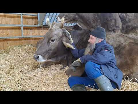 LALA - Trauer nach dem Tod ihrer Zwillingschwester LULU...♥️✨