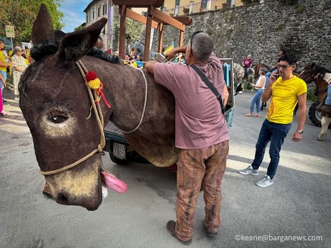Return of a Legend: The Muletto Rides Again in BARGA