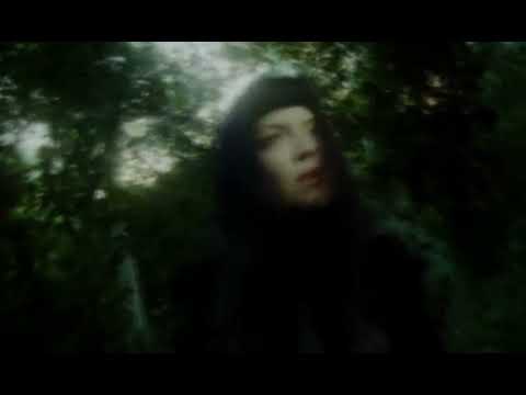 Not for Radio - Puddles (Zero 7 Remix) (Official Visualizer)