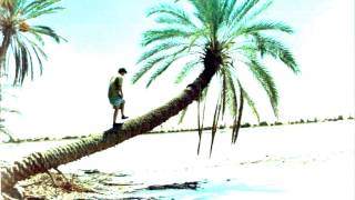 Slapp Happy - a different lie