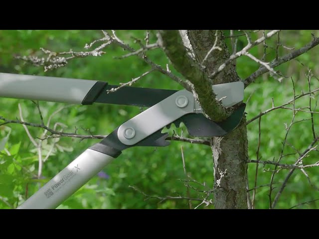 مقص أغصان PowerGear™ X LX94 (M)