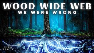 Download lagu The Wood Wide Web was the Biggest Scandal in Science mp3