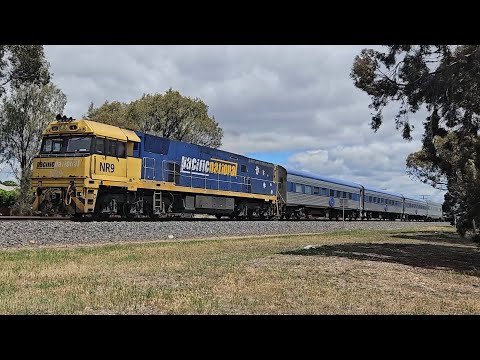 1AM8 up JBRE The Overland (NR9, 7V), Adelaide to Melbourne, 1405, 9/11/25, Horsham VIC 