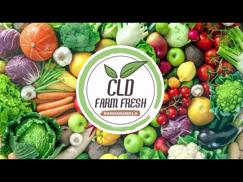 CLD Your Premium Vegetable Supplier - Promotional Video