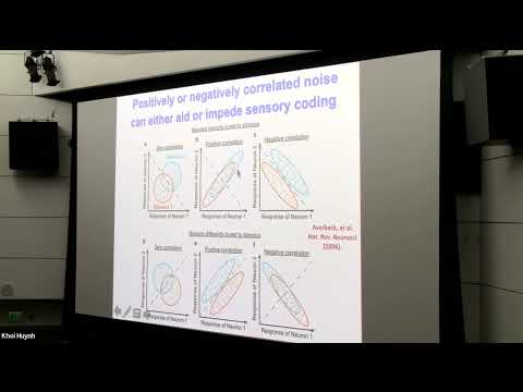Mark Schnitzer - "Large scale optical imaging studies of neural coding and computation..."