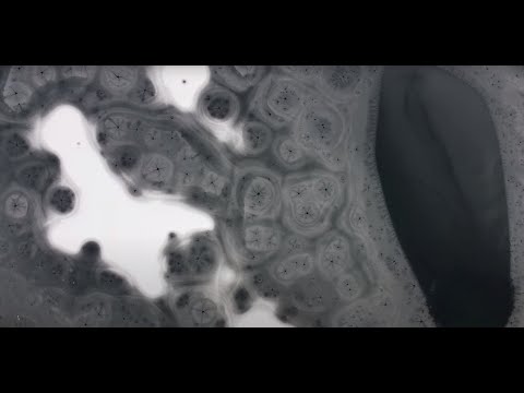 Mammendorf aus der Luft || Shot on DJI Mini 2 by Rafael Lang