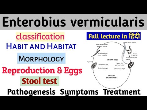 A helmint fertőzés diagnosztizálása