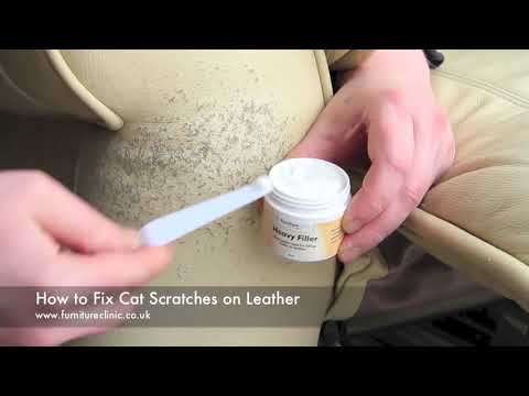 How To - Repair Cat Scratches on Leather