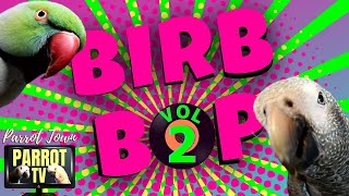Birb Bop [Vol. 2] Music for Birds to Dance to | Parrot Music TV for Your Bird Room