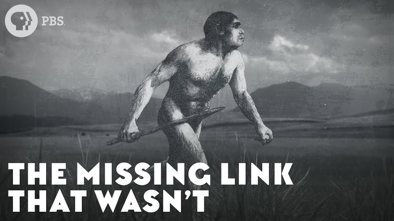 The Missing Link That Wasn’t