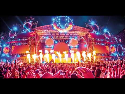 Dimitri Vegas & Like Mike vs VINAI vs David Guetta - The Hum