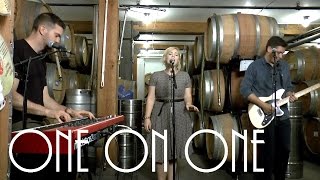 ONE ON ONE: Empty Houses June 4th, 2016 City Winery New York Full Session