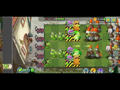 Pinata Party 8 November 2021