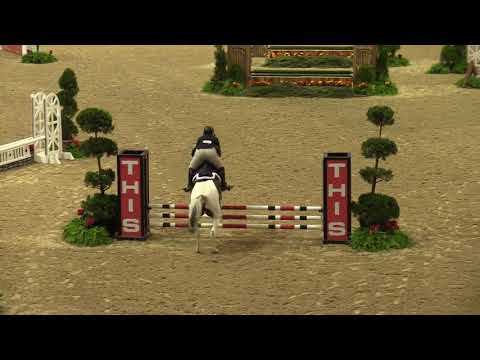 Video of MCG'S RAINBOW ridden by ISABEL KAISER from ShowNet!