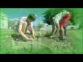 WGBY Fresh Local Summer 2017 No 2
