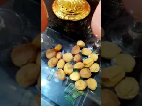 Ipaalam sa kanila makipag-usap tungkol sa pagkawala ng timbang respiratory Lyrics ng panahon upang mawala ang timbang