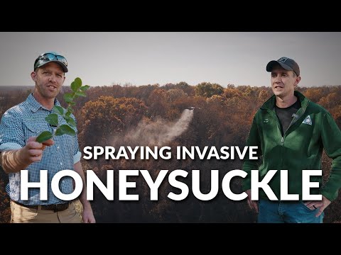 Why Spray Drones are the Perfect Tool for This Tricky Job