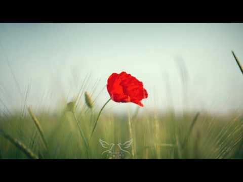 Familia Puha - Tu nu pleci  niciodata de la mine