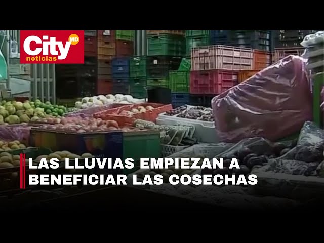 Así se comporta el precio de los alimentos en las plazas de mercado de Bogotá 