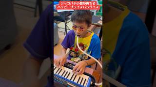 シャカパチ小僧が奏でるハッピープライスパラダイス【ダイソーの曲】アイリスラーメンチャンネル
