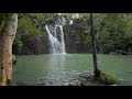 Cedar Ck. Falls, Whitsundays