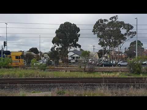 Australian Locomotives - Pacific National - Light Engine