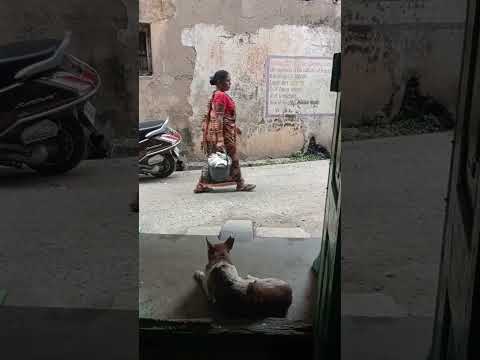 sulabha padhi aarissa paschimañchal foods cook