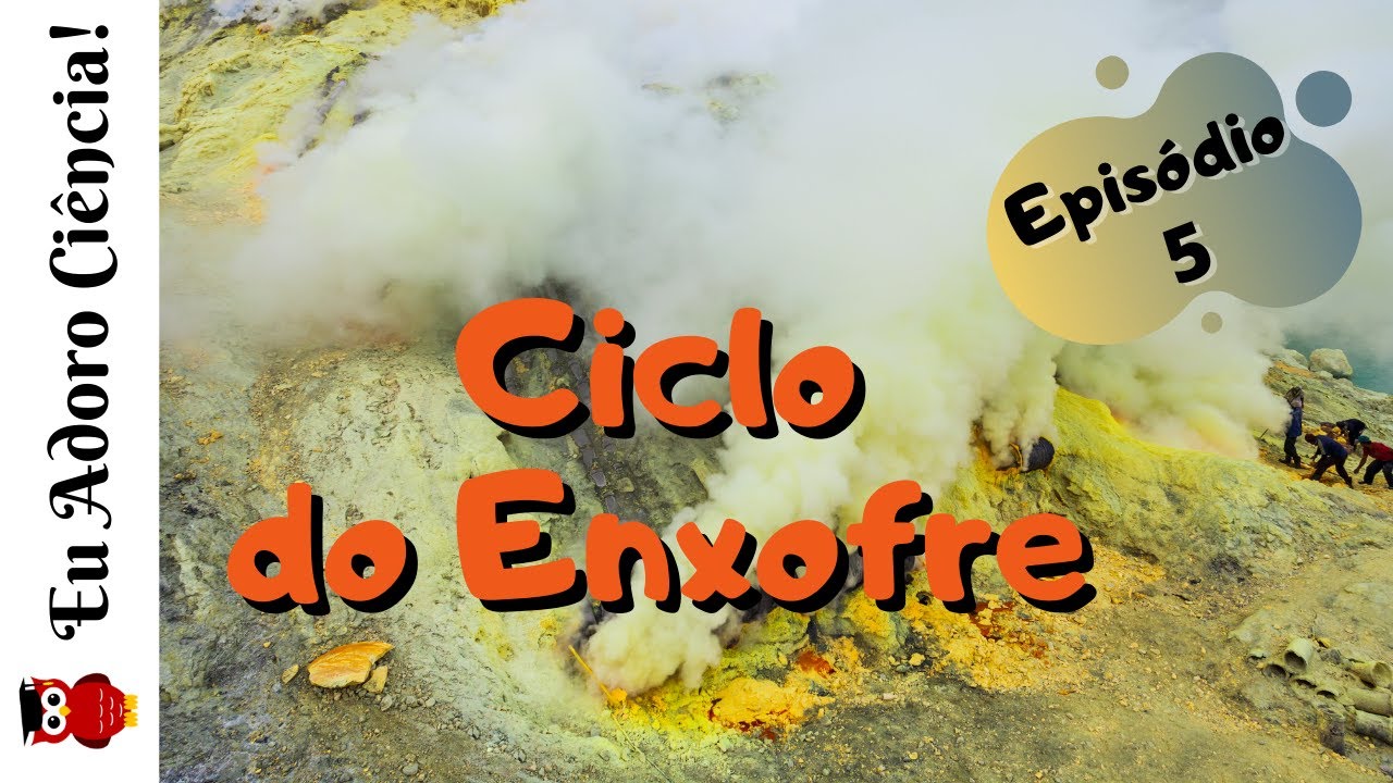 A Biogeoquímica da Natureza - Episódio 5: CICLO DO ENXOFRE (Ciclos Biogeoquímicos)