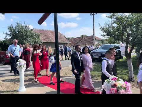 Alai nuntași Teremia Mare 