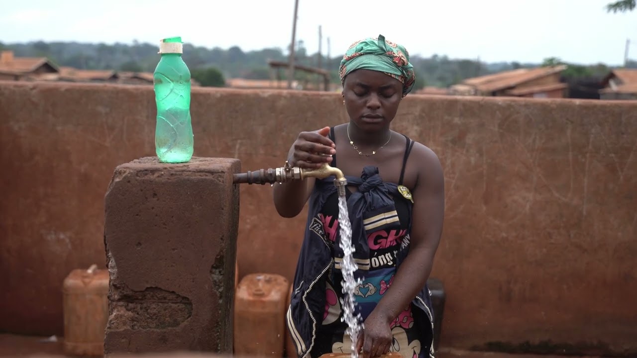 FSC certification in Cameroon strengthens forests and communities