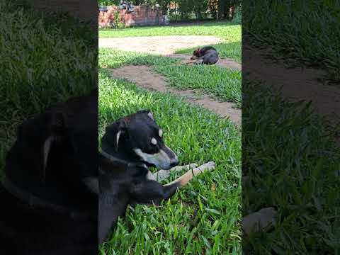 Se viene la lluvia? Domingo en Puerto Tirol Chaco