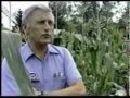 SonicBloom: Up to 700% Increase in Nutrient Uptake & 100% Increase in Crop Yields