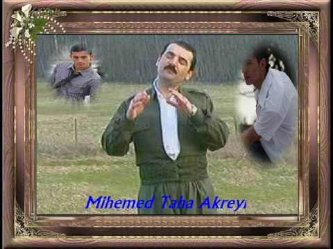 Mihemed Taha Akreyî Chêke chêke