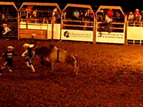 Rodeio Primeiro Rodeio Internacional De Bravos De Santa Clara MT 264