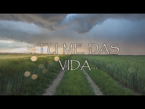 Leonela Marmolejo - Tu Me Das Vida (Lyric)