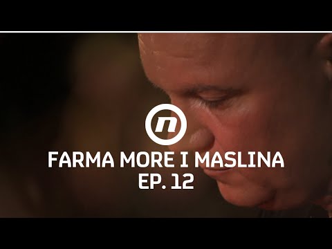 Jukina posljednja večer na imanju - Epizoda 12 | Farma More i Maslina