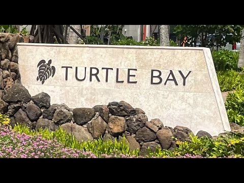 Amazing Turtle Bay Resort -  Hawaii North Shore