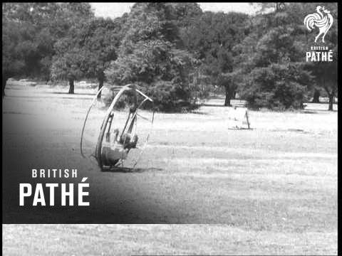 Roata distractivă, alias noua formă de transport (1967)