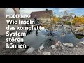 Eugen S 35 000 Liter Koi Pond Modern Koi Blog 7365