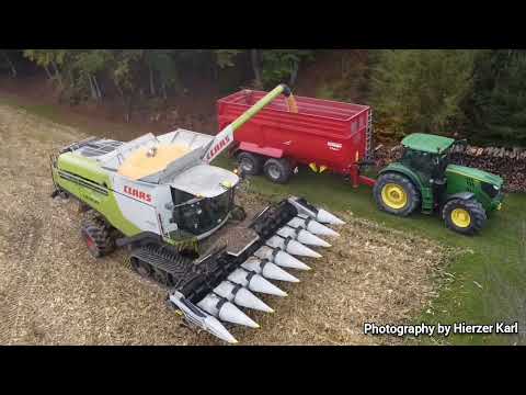 Claas Lexion 760 TT 🐛 im Mais 🌽🌽 Oktober 2023. 🚨Trinkl Josef & Andreas 🚨