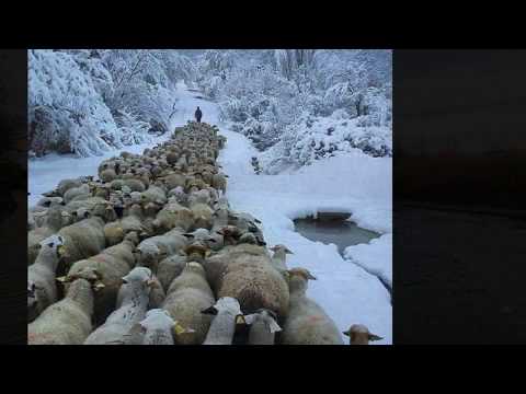 EVANGHELIA are putere - Calin Vint