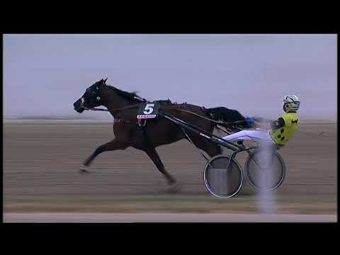 Napoli Trotto 02/10/2021 - 2ª corsa