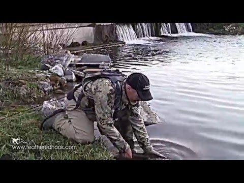 Flyfishing for Brown Trout on a Mouse Fly