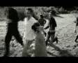 Little Cow - Virágok a réten 