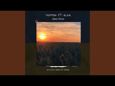Дике Поле (Acoustic Remix by BioNik)